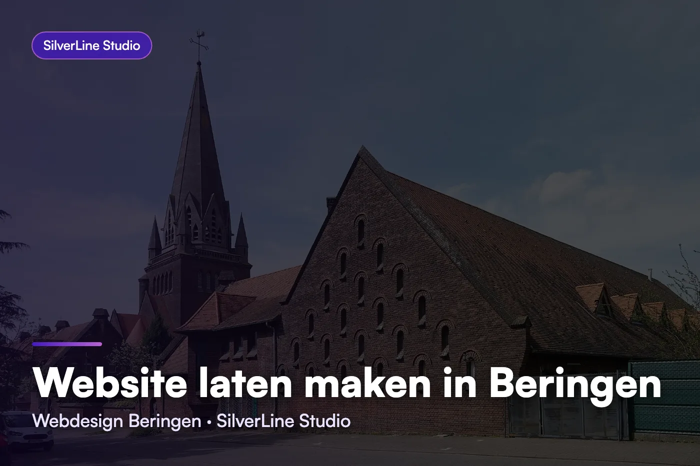 Website laten maken in Beringen