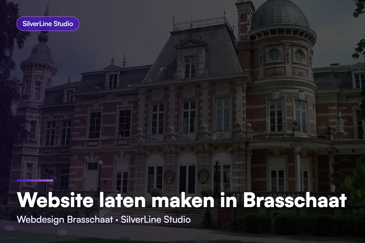 Website laten maken in Brasschaat