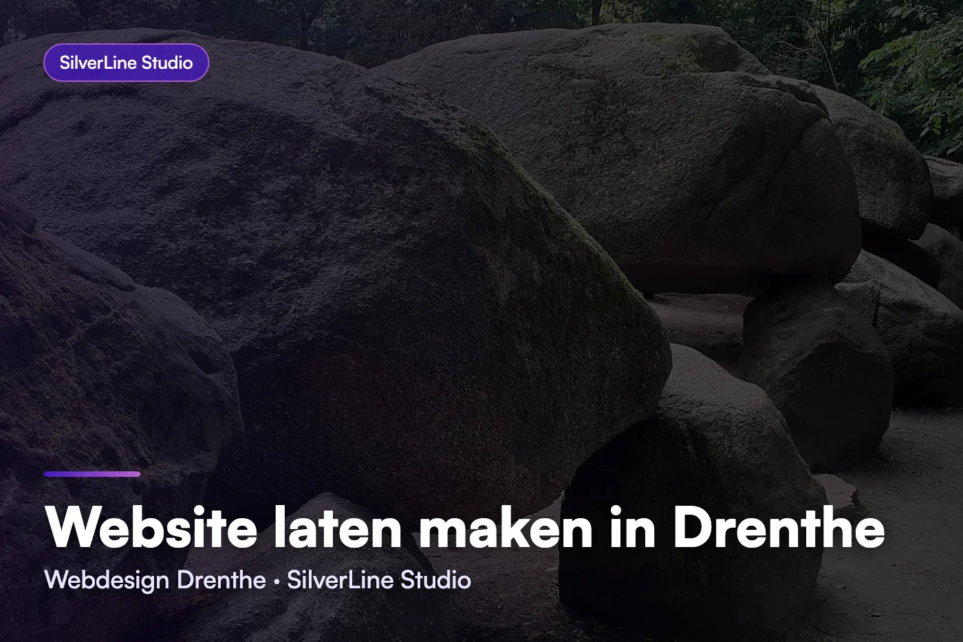 Website laten maken in Drenthe
