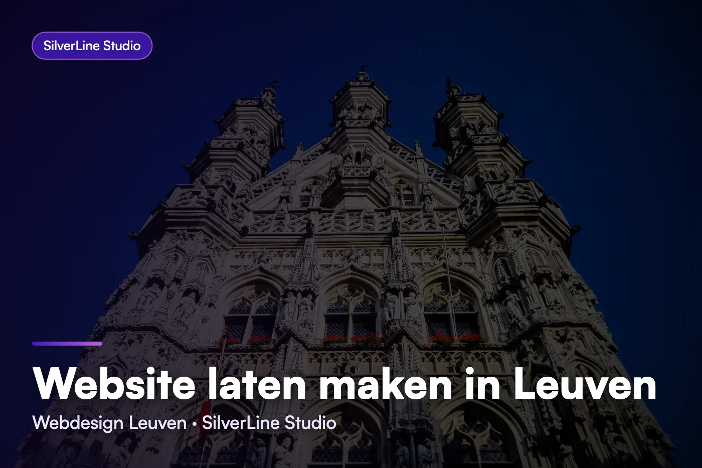 Website laten maken in Leuven
