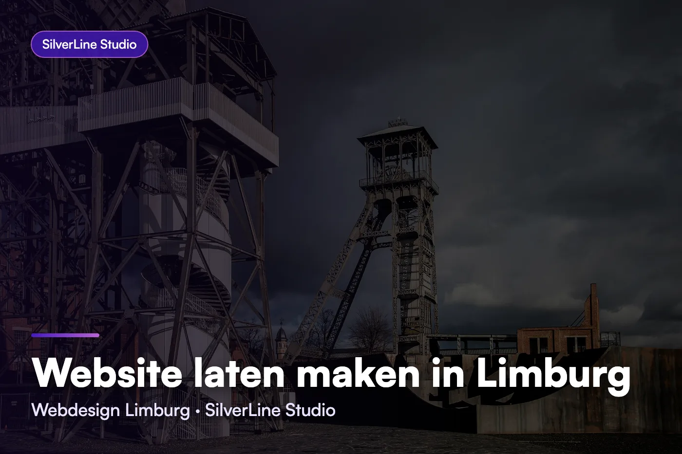 Website laten maken in Limburg